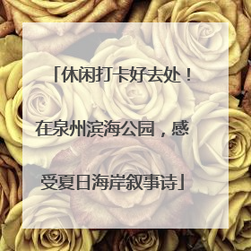 休闲打卡好去处！在泉州滨海公园，感受夏日海岸叙事诗