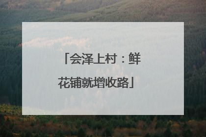 会泽上村：鲜花铺就增收路