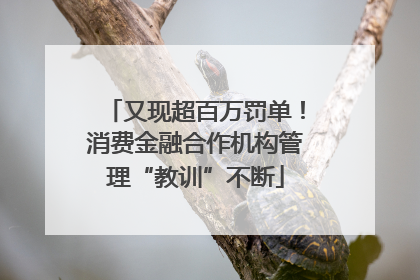 又现超百万罚单！消费金融合作机构管理“教训”不断
