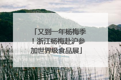 又到一年杨梅季！浙江杨梅赴沪参加世界级食品展