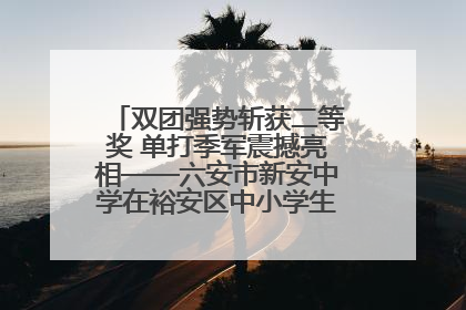 双团强势斩获二等奖 单打季军震撼亮相——六安市新安中学在裕安区中小学生乒乓球比赛获佳绩