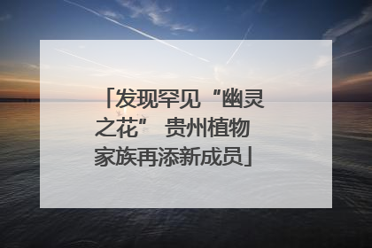 发现罕见“幽灵之花” 贵州植物家族再添新成员