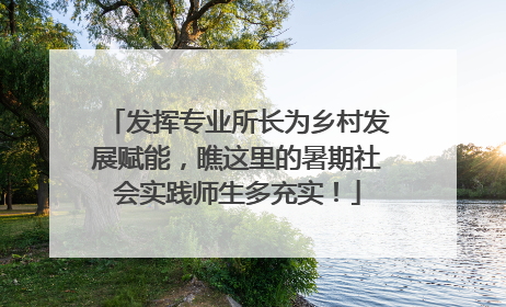 发挥专业所长为乡村发展赋能，瞧这里的暑期社会实践师生多充实！