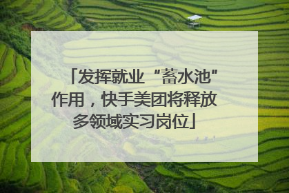 发挥就业“蓄水池”作用，快手美团将释放多领域实习岗位