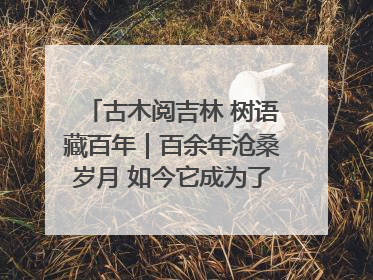 古木阅吉林 树语藏百年｜百余年沧桑岁月 如今它成为了“镇园之宝”