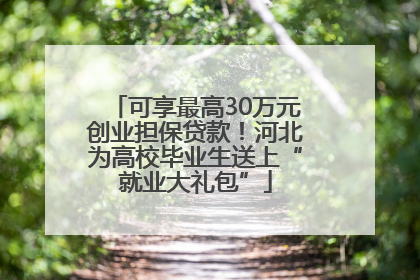 可享最高30万元创业担保贷款！河北为高校毕业生送上“就业大礼包”