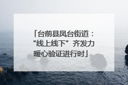 台前县凤台街道：“线上线下”齐发力 暖心验证进行时