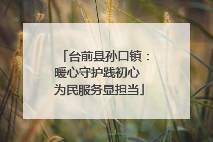台前县孙口镇：暖心守护践初心 为民服务显担当