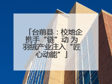 台前县：校地企携手“链”动 为羽绒产业注入“匠心动能”