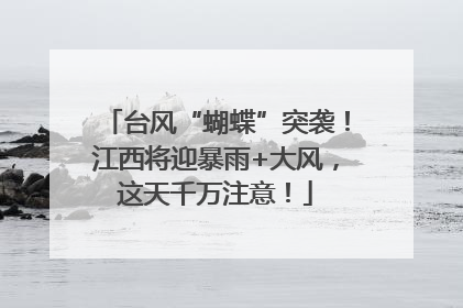 台风“蝴蝶”突袭！江西将迎暴雨+大风，这天千万注意！