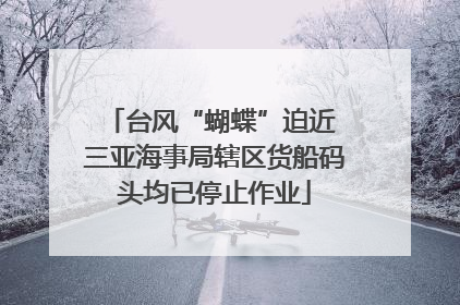 台风“蝴蝶”迫近 三亚海事局辖区货船码头均已停止作业