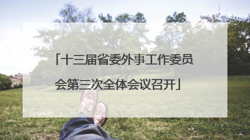 十三届省委外事工作委员会第三次全体会议召开
