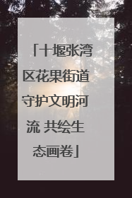 十堰张湾区花果街道守护文明河流 共绘生态画卷