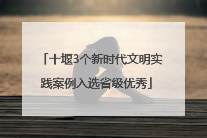十堰3个新时代文明实践案例入选省级优秀
