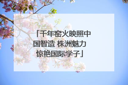 千年窑火映照中国智造 株洲魅力惊艳国际学子