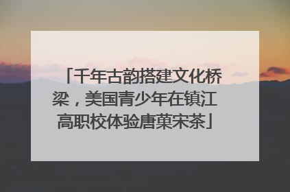 千年古韵搭建文化桥梁，美国青少年在镇江高职校体验唐菓宋茶