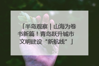 半岛观察｜山海为卷书新篇！青岛跃升城市文明建设“新航线”