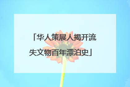 华人策展人揭开流失文物百年漂泊史