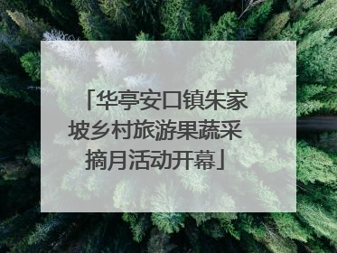 华亭安口镇朱家坡乡村旅游果蔬采摘月活动开幕