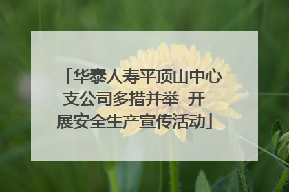 华泰人寿平顶山中心支公司多措并举  开展安全生产宣传活动
