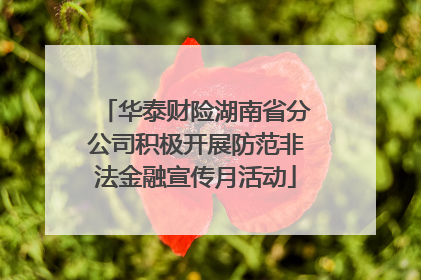 华泰财险湖南省分公司积极开展防范非法金融宣传月活动