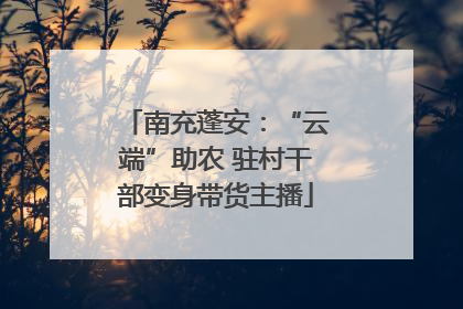 南充蓬安：“云端”助农 驻村干部变身带货主播