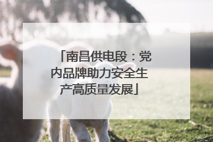 南昌供电段：党内品牌助力安全生产高质量发展