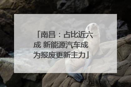 南昌：占比近六成 新能源汽车成为报废更新主力