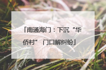 南通海门：下沉“华侨村” 门口解纠纷