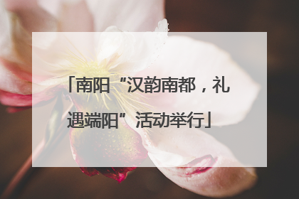 南阳“汉韵南都，礼遇端阳”活动举行