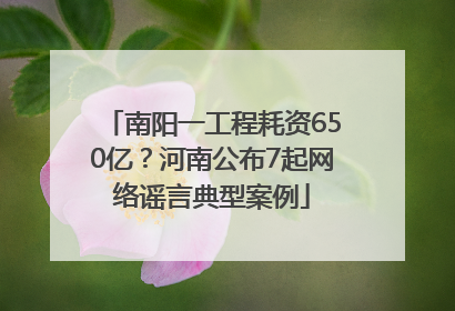 南阳一工程耗资650亿？河南公布7起网络谣言典型案例