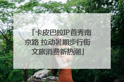 卡皮巴拉IP首秀南京路 拉动暑期步行街文旅消费新热潮