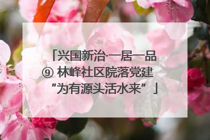 兴国新治·一居一品⑨ 林峰社区院落党建“为有源头活水来”
