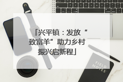 兴平镇：发放“致富羊”助力乡村振兴启新程
