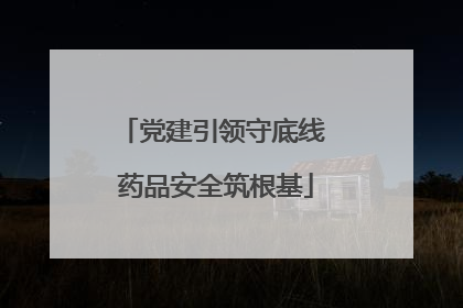 党建引领守底线 药品安全筑根基