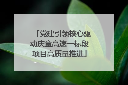党建引领核心驱动庆章高速一标段项目高质量推进