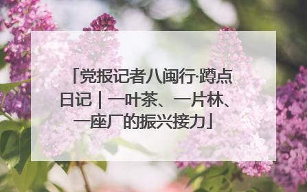 党报记者八闽行·蹲点日记｜一叶茶、一片林、一座厂的振兴接力