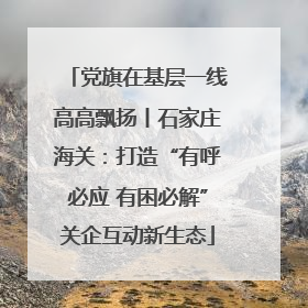 党旗在基层一线高高飘扬丨石家庄海关：打造“有呼必应 有困必解”关企互动新生态