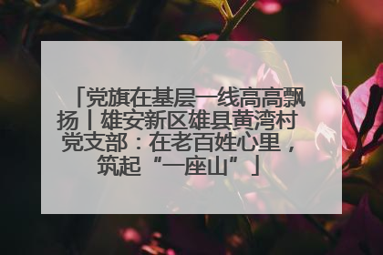 党旗在基层一线高高飘扬丨雄安新区雄县黄湾村党支部：在老百姓心里，筑起“一座山”