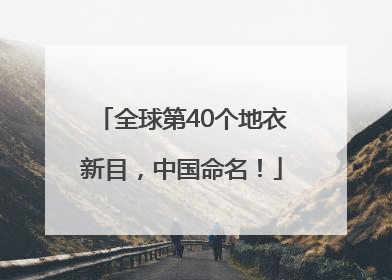 全球第40个地衣新目，中国命名！