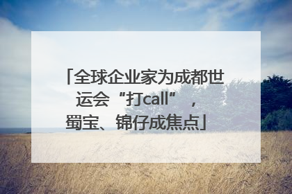 全球企业家为成都世运会“打call”，蜀宝、锦仔成焦点
