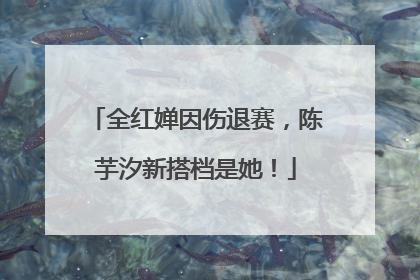 全红婵因伤退赛，陈芋汐新搭档是她！