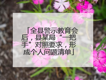 全县警示教育会后，县某局“一把手”对照要求，形成个人问题清单
