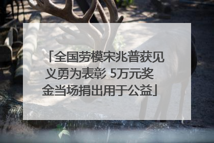 全国劳模宋兆普获见义勇为表彰 5万元奖金当场捐出用于公益