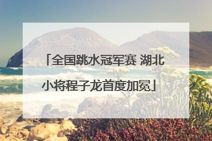 全国跳水冠军赛 湖北小将程子龙首度加冕