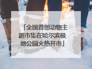 全国首创动物主题市集在哈尔滨极地公园火热开市