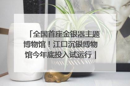 全国首座金银器主题博物馆！江口沉银博物馆今年底投入试运行｜万千气象看四川