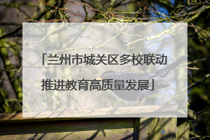 兰州市城关区多校联动推进教育高质量发展