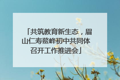 共筑教育新生态，眉山仁寿鳌峰初中共同体召开工作推进会