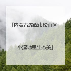 内蒙古赤峰市松山区：小湿地里生态美